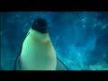 Happy Feet - Happy Feet - Flixster Video
