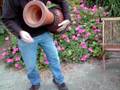 65cm Professional Djembe. Ebay store: http://stores.ebay.com