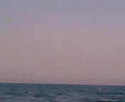 pelicans and seagulls at jicacal, ...