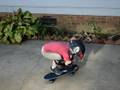videos de Ashe Skateboarding