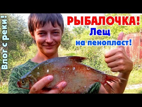ловля леща на донце видео ловля леща на донце видео