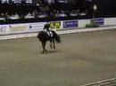 Anky van Grunsven Grand Prix Freestyle 2007