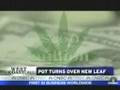 $2 Billion Industry: School Teaches Students to Grow Marijuana