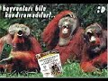 antifenerbahce cC_cufinho_Cc antifenerbahce cC_cufinho_Cc