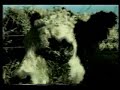 Fleurdelix et les Affreux Gaulois - Sauve moi