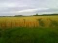 videos de Zeeland 4