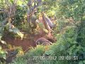 Click here to watch this video IMAG0036.AVI