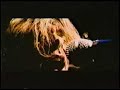 a great music video by a great band.