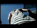 hot upskirts compilation - voyeur public upskirt exposed