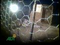 Una Introducción a Circos con Animales en Sudamerica