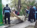 karda-ekmek-aras-.html