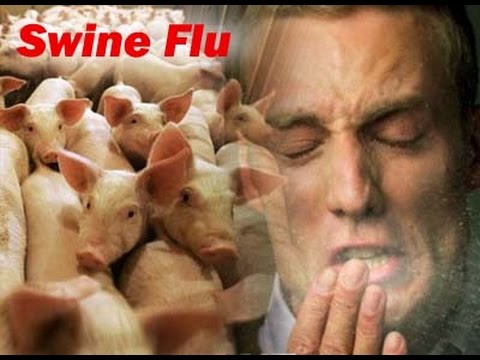 how to avoid swine flu