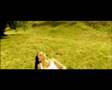 blue cafe niewiele mamy - director & dop bartosz piotrowski