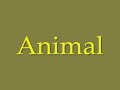 Def Leppard - Animal