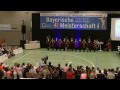 Wild Sixteen - Di...