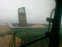 Harbison Farms 2008 corn harvest