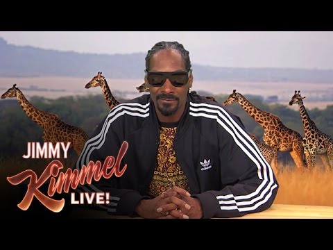 Plizzanet Earth with Snoop Dogg - Great White Shark