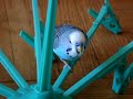 Budgie swinging to a song