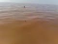 alta pesca coto cris y gus