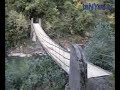 bir arhavi ser�veni