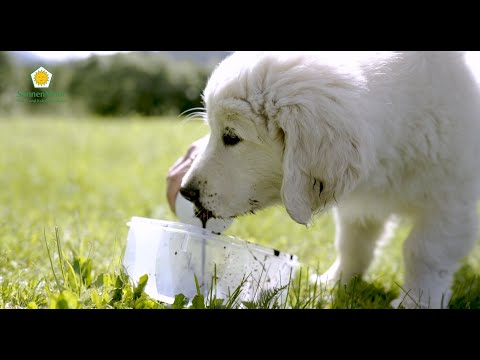 SonnenMoor Naturmoor für Haus- und Heimtiere