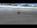 cruising the beach
