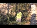 The Making of Wildlights