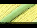 Körkép -3- (2019.08.16.) Körkép -3- (2019.08.16.)