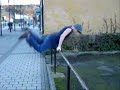 Sheffield Parkour - 09/12/06