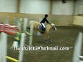 Showjumping 2/3-2008