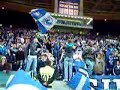 Super Dragoes - Ultras