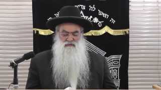 תמונת הרב רפאל כהן – פרשת בלק – יסודות בחינוך