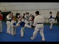 Scuola Taekwondo Twister (Stage Schio)