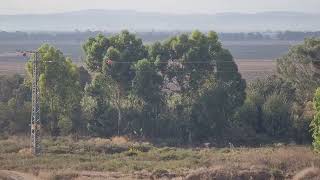 أنا والمطر نتسابق على لد العوادين مع بكار فحماوي