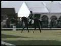 She's a Pirate Dressage Freestyle