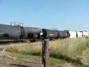 MNA 4076, 4077, CEFX 9391