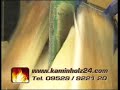 www.kaminholz24.com: Brennholz / Kaminholz trocken aus der Trockenkammer