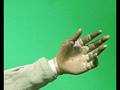 videos de A Dolls Prayer