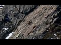 Brain Farm Digital Cinema Reel HD