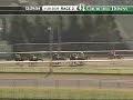 CHURCHILL DOWNS, 2009-11-28, Race 3