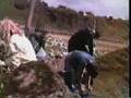 SPLATTER? - low budget 80's horror movie spoof