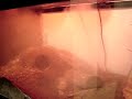 MY TERRARIUM HUMIDIFIER INVENTION