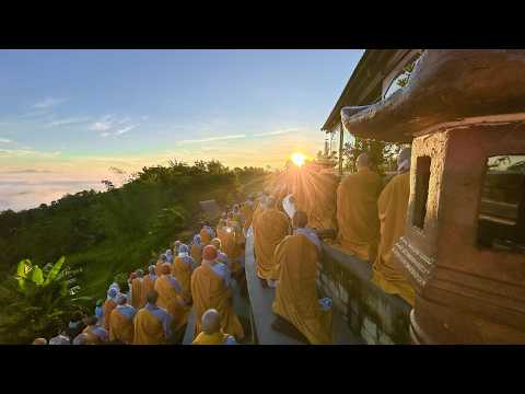NIKAYA - Xả Y Hạ Sơn - Khoá Tu Xuất Gia Ngắn Hạn 24