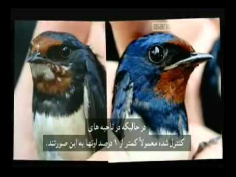 خدا، تکامل و چارلز داروین3