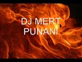 dj mert punani remix dj mert punani remix
