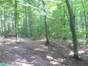 uskok dh mini gap...