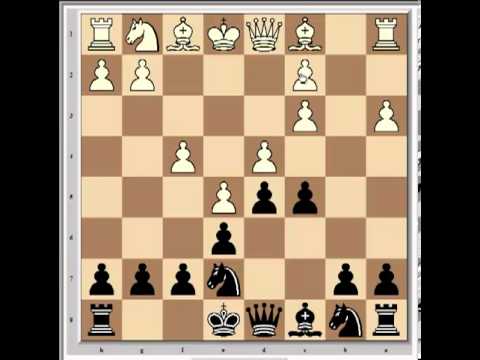 chess championship 2013