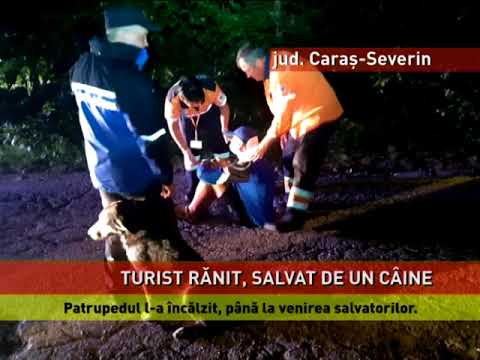 Un biciclist rănit a fost salvat de un câine