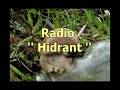Hidrant radio - Vidoviti Glisha