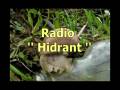 Hidrant radio - Vidoviti Glisha